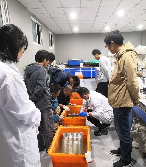 首页 - CG电子官方网站