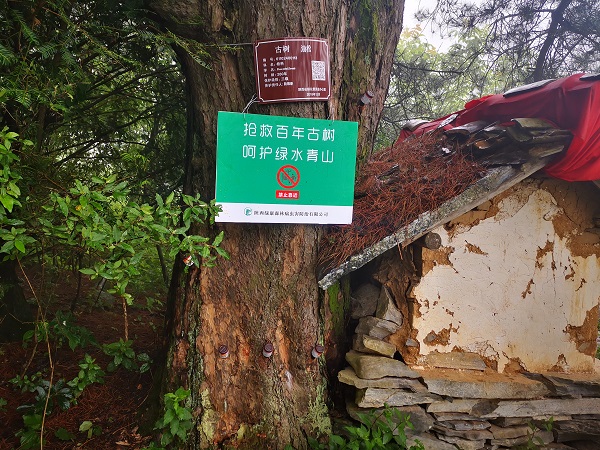 亿万先生MR·(中国)官方网站