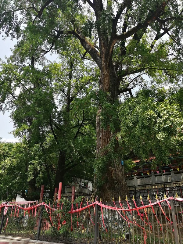 亿万先生MR·(中国)官方网站