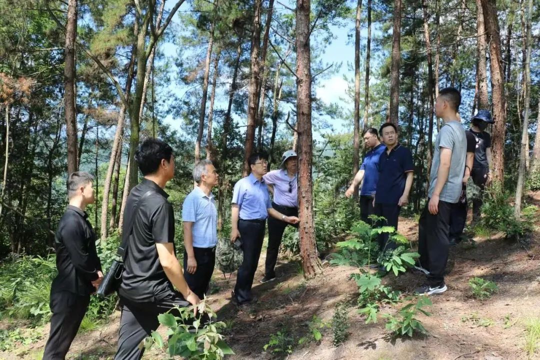 亿万先生MR·(中国)官方网站
